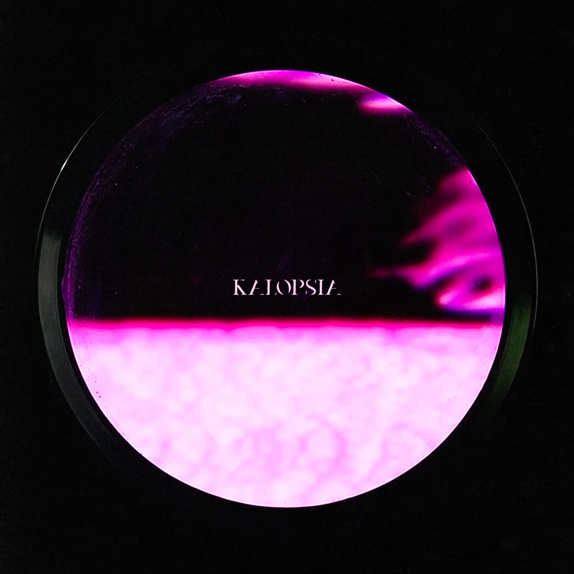 byPerri & lllou Bundle Vol. 1 - Image 5